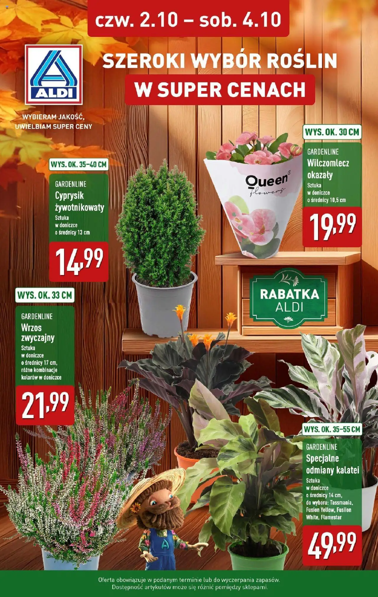 Aldi Rabatka kwiatów od 02.10.2025 - Nowa Gazetka - Numer strony 1