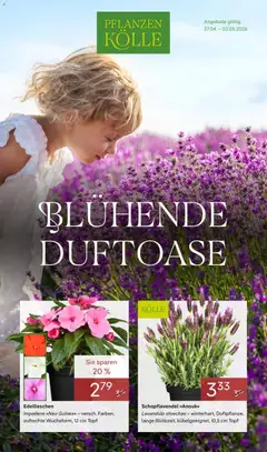 Vorschau von dem Prospekt des Geschäftes Pflanzen-Kölle, gültig ab dem 27.04.2026