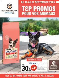 Prévisualisation de Catalogue du magasin Brico E.Leclerc formulaire valide 16/09/2025