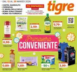 Anteprima dell'opuscolo Tigre volantino Castel Gandolfo dal negozio Tigre valido da 12/03/2026
