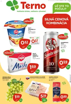 Náhľad Terno letáku platného od 12.03.2026