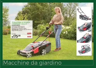 Anteprima dell'opuscolo Catalogo Macchine da giardino dal negozio Brico OK valido da 03/03/2025