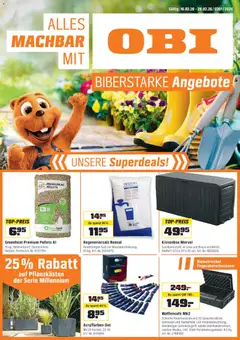 Vorschau des Merkblatts Aktionen vom Shop OBI gültig von 16.02.2026 bis 28.02.2026