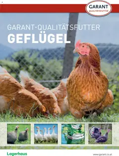 Vorschau der Angebote: Lagerhaus Geflügel gültig ab 05.05.2025