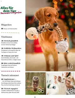 Vorschau der Angebote: Fressnapf Friends 06/25 gültig ab 01.11.2025 | Seite: 4
