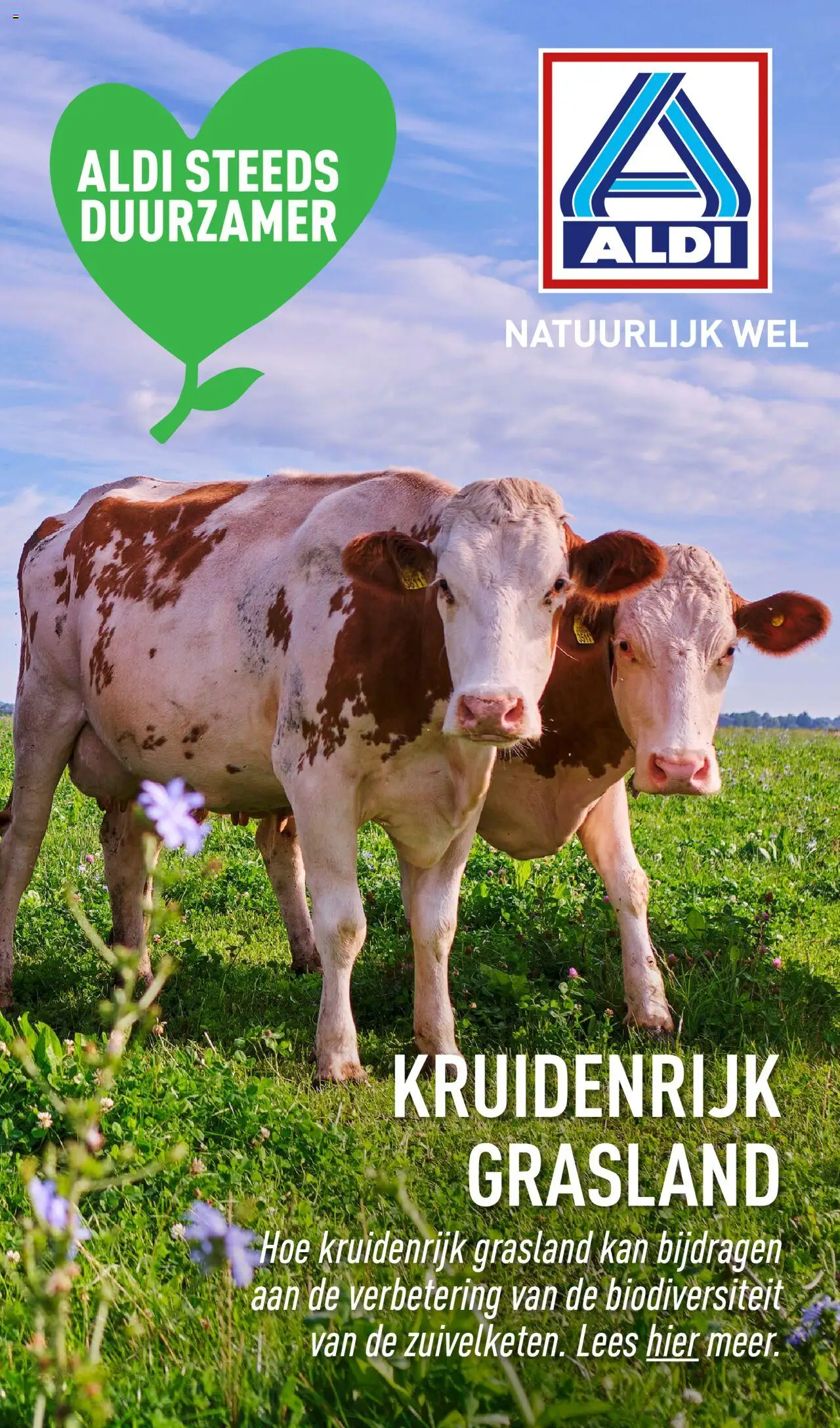 Aldi shop ALDI Kruidenrijk Grasland special geldig vanaf 03-09-2025 - Paginanummer 1
