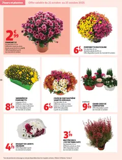 Prévisualisation de Prospectus du magasin Auchan formulaire valide 21/10/2025 | Page: 31