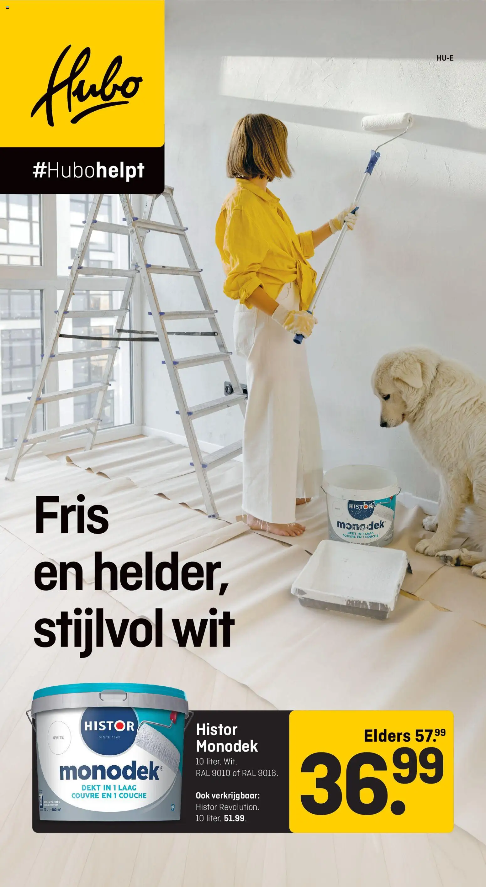 Voorbeeld van Folder van winkel Hubo geldig vanaf 12-01-2026