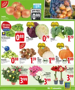 Voorbeeld van DE Folder van winkel Edeka DE geldig vanaf 03-11-2025 | Pagina: 3