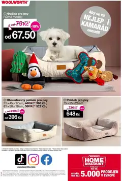 Náhled nabídky: Woolworth Leták platný od 31.10.2025 | Strana: 17
