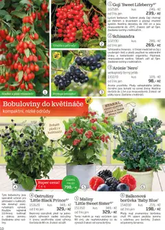 Náhled nabídky: Starkl Katalog podzim 2025 platný od 01.08.2025 | Strana: 10