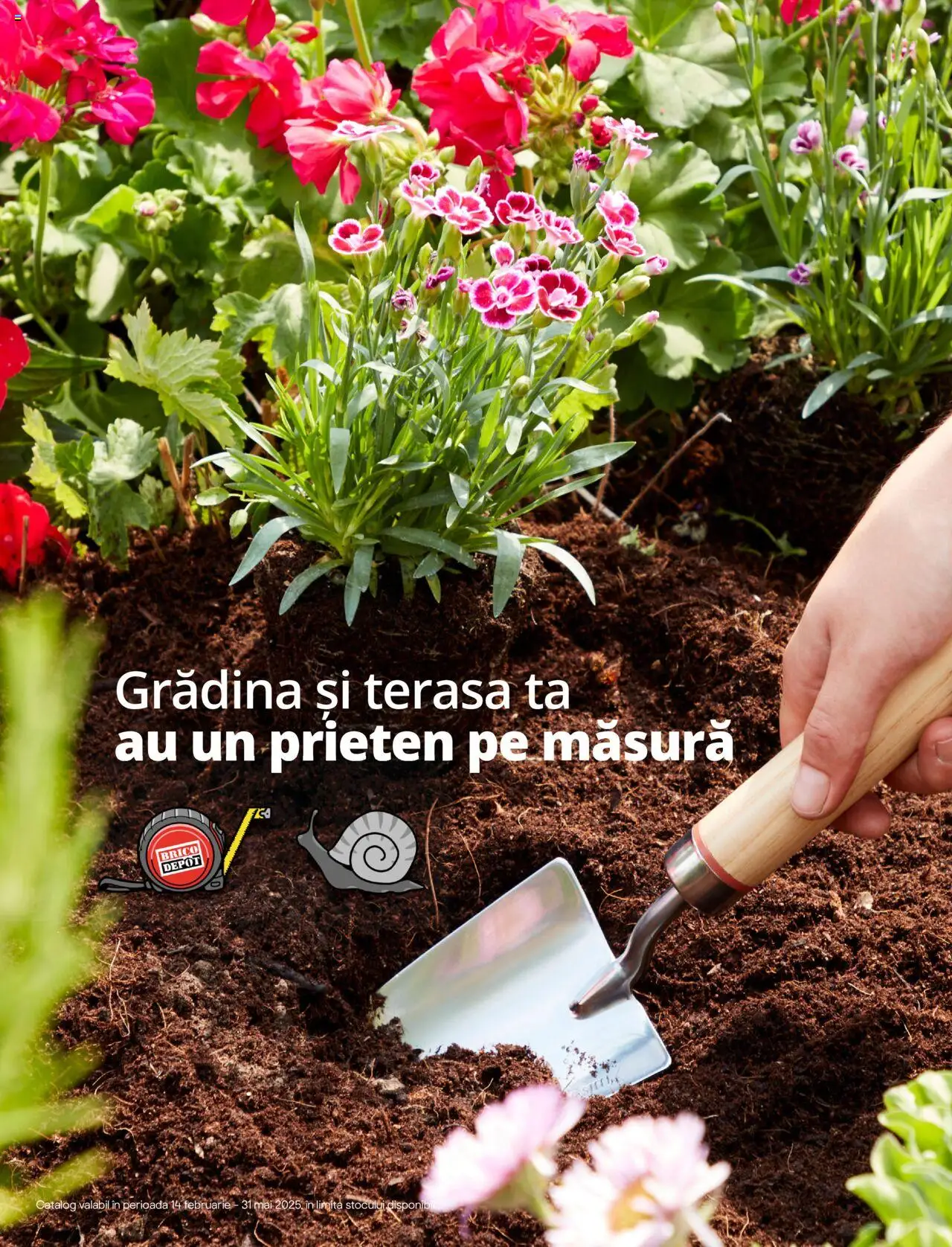 Brico Depot Catalog - Semințe de la 14.02.2025 - Pagină 1