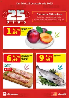 Vista previa del folleto de la tienda Alcampo válido desde el 20/10/2025 
