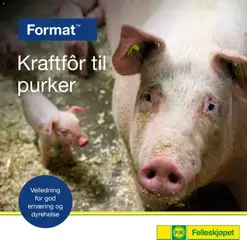 Forhåndsvis Kraftfôr til purker fra butikk Felleskjøpet gyldig fra 02/01/2026