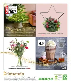Voorbeeld van Folder van winkel Intratuin geldig vanaf 08-12-2025 | Pagina: 8