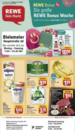 Vorschau von dem Prospekt des Geschäftes Rewe, gültig ab dem 13.10.2025