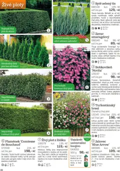 Náhled nabídky: Starkl Katalog podzim 2025 platný od 01.08.2025 | Strana: 38