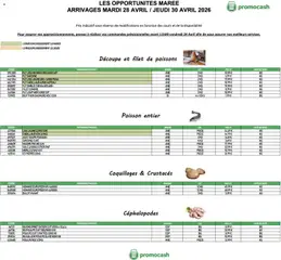 Prévisualisation de Promocash Opportunités Marée du magasin Promocash formulaire valide 28/04/2026