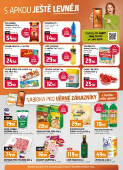 Náhled nabídky: Trefa Leták - Nabídka pro věrné zákazníky platný od 28.01.2026