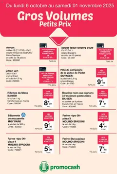 Prévisualisation de Catalogue gros volumes petits prix du magasin Promocash formulaire valide 06/10/2025